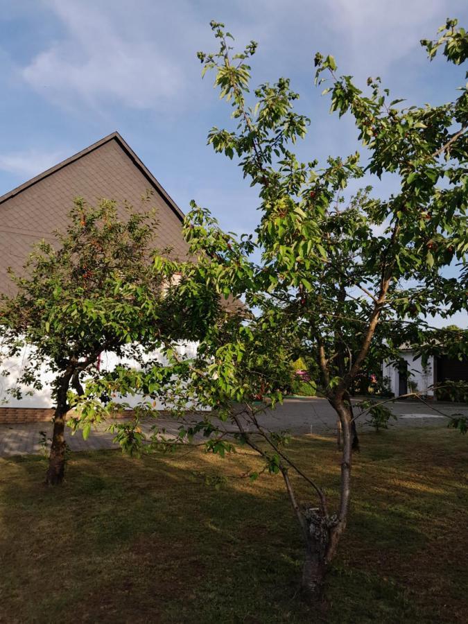 Casa Natur Medebach Dış mekan fotoğraf