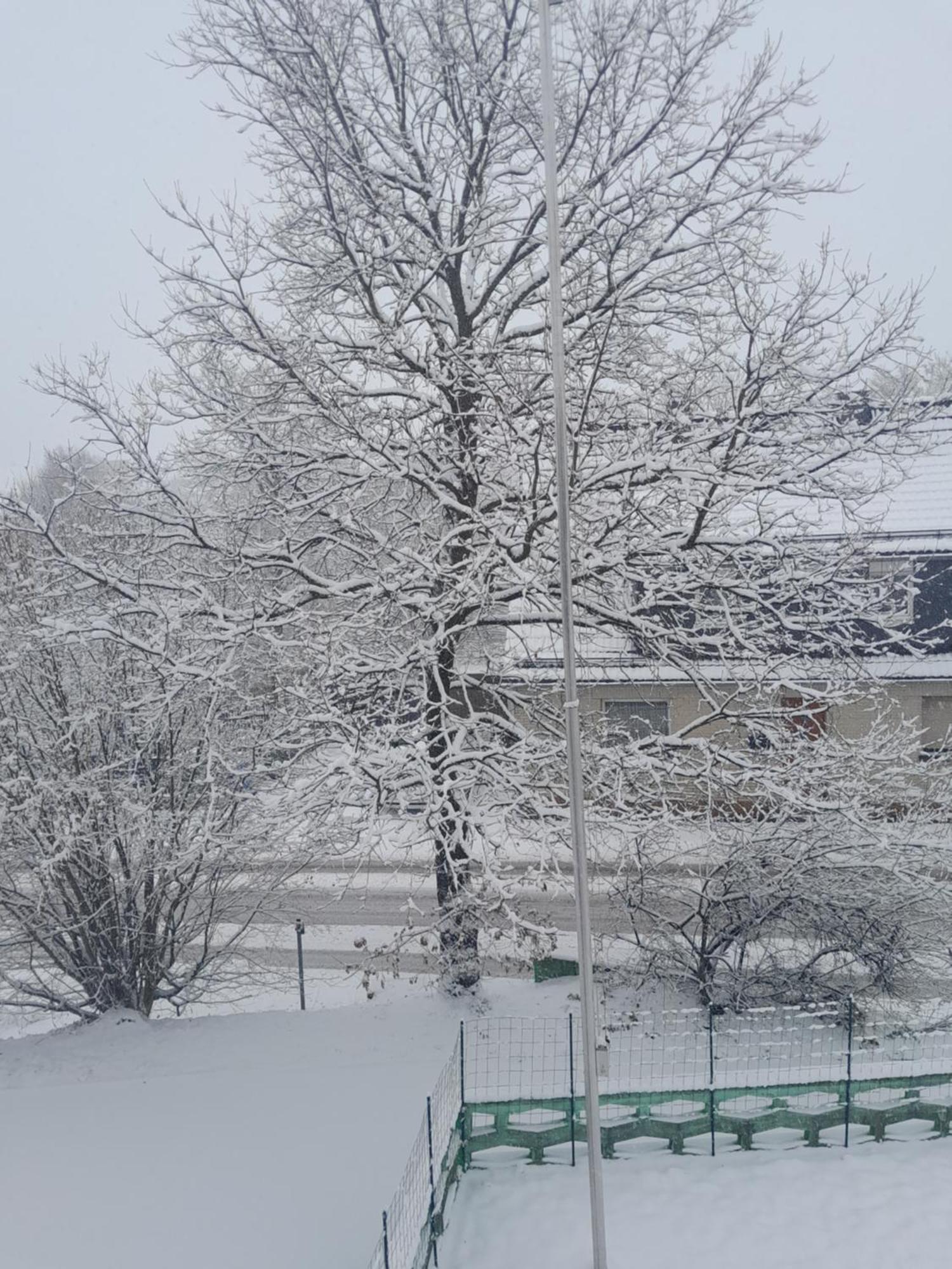 Casa Natur Medebach Oda fotoğraf